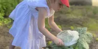 Лето: интересно всё вокруг!