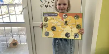 "Встречаем птиц"